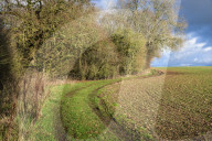A great walk to a great pub: Sculthorpe Mill Norfolk