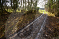 A great walk to a great pub: Sculthorpe Mill Norfolk