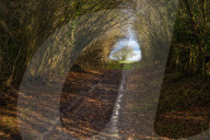 A great walk to a great pub: Sculthorpe Mill Norfolk