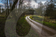 A great walk to a great pub: Sculthorpe Mill Norfolk