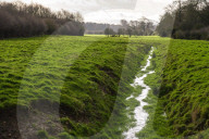 A great walk to a great pub: Sculthorpe Mill Norfolk