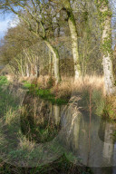 A great walk to a great pub: Sculthorpe Mill Norfolk