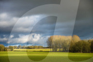 A great walk to a great pub: Sculthorpe Mill Norfolk