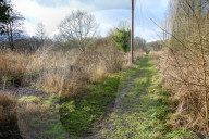 A great walk to a great pub: Sculthorpe Mill Norfolk