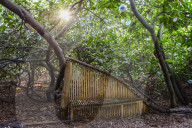 A great walk to a great pub: Sculthorpe Mill Norfolk