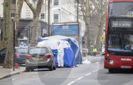 Arrest made after woman stabbed to death and man killed by car in London.