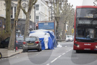 Arrest made after woman stabbed to death and man killed by car in London.