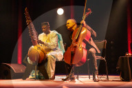 Ballake Sissoko and Vincent Segal review - a beautiful cross-border conversation.