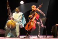 Ballake Sissoko and Vincent Segal review - a beautiful cross-border conversation.