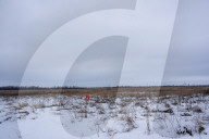 NEWS - Konflikt in der Ukraine: Soldaten im Donbass