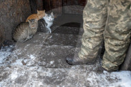 NEWS - Konflikt in der Ukraine: Soldaten im Donbass