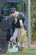 Anna Faris unloads booze bottles and other groceries from her car as she heads home following a supermarket run. 