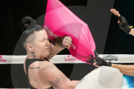 Pillow fighting could be the next great combat sport - no, seriously