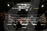 Pillow fighting could be the next great combat sport - no, seriously
