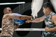 Pillow fighting could be the next great combat sport - no, seriously