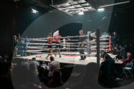 Pillow fighting could be the next great combat sport - no, seriously