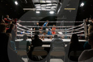 Pillow fighting could be the next great combat sport - no, seriously