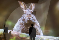 Beatrix Potter: Drawn to Nature exhibition at the Victoria & Albert Museum.