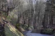 A great walk to a great pub: The Fauconberg, North Yorkshire