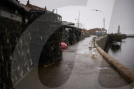Death and decimation: Whitby devastated by declining marine life. Unprecedented levels of crabs, lobsters, coral and sea birds are dying on north-east coast