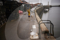 Death and decimation: Whitby devastated by declining marine life. Unprecedented levels of crabs, lobsters, coral and sea birds are dying on north-east coast