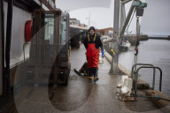 Death and decimation: Whitby devastated by declining marine life. Unprecedented levels of crabs, lobsters, coral and sea birds are dying on north-east coast