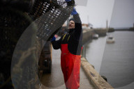 Death and decimation: Whitby devastated by declining marine life. Unprecedented levels of crabs, lobsters, coral and sea birds are dying on north-east coast