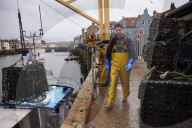 Death and decimation: Whitby devastated by declining marine life. Unprecedented levels of crabs, lobsters, coral and sea birds are dying on north-east coast