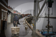 Death and decimation: Whitby devastated by declining marine life. Unprecedented levels of crabs, lobsters, coral and sea birds are dying on north-east coast