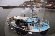 Death and decimation: Whitby devastated by declining marine life. Unprecedented levels of crabs, lobsters, coral and sea birds are dying on north-east coast