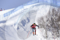 FREESTYLE SKIING-MEN'S SKI CROSS