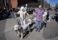 FEATURE - Parade der Haustiere in St. Louis