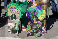FEATURE - Parade der Haustiere in St. Louis