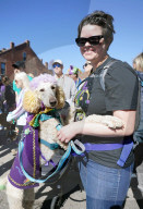 FEATURE - Parade der Haustiere in St. Louis