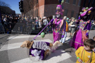 FEATURE - Parade der Haustiere in St. Louis