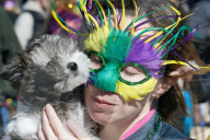 FEATURE - Parade der Haustiere in St. Louis