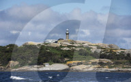 Flip out: swimming with seals at Montague Island on the NSW south coast.