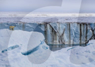 FEATURE - Noch sind sie da: Wildlife Fotograf Paul Goldstein bekommt Eisbären auf Spitzbergen zu sehen