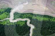 Beauty and destruction: the Amazon rainforest.
The Amazon rainforest is the world’s largest, but in the last 40 years at least 20% of it has been destroyed.