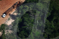 Beauty and destruction: the Amazon rainforest.
The Amazon rainforest is the world’s largest, but in the last 40 years at least 20% of it has been destroyed.