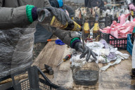 NEWS - Ukraine-Konflikt: Ukrainer bereiten Molotow-Cocktails in Lviv vor