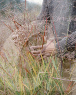 Ways of seeding: the designer changing the way we look at gardening.