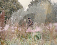 Ways of seeding: the designer changing the way we look at gardening.