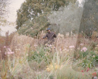 Ways of seeding: the designer changing the way we look at gardening.