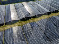 NEWS - Solarenergieanlagen in Almere, Holland