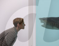 NEWS - Damien Hirst Formaldehyd-Skulpturen Ausstellung, Gagosian Gallery, London