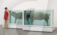 NEWS - Damien Hirst Formaldehyd-Skulpturen Ausstellung, Gagosian Gallery, London