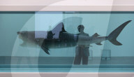 NEWS - Damien Hirst Formaldehyd-Skulpturen Ausstellung, Gagosian Gallery, London