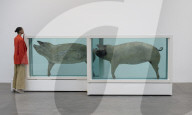 NEWS - Damien Hirst Formaldehyd-Skulpturen Ausstellung, Gagosian Gallery, London
