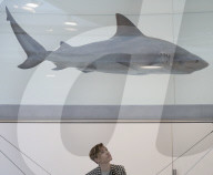 NEWS - Damien Hirst Formaldehyd-Skulpturen Ausstellung, Gagosian Gallery, London